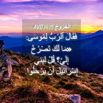Picture 04 - اَلْخُرُوجُ 14:15 AVD - فَقَالَ ٱلرَّبُّ لِمُوسَى: - Bible Verse Picture