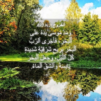 Picture 04 - اَلْخُرُوجُ 14:21 AVD - وَمَدَّ مُوسَى يَدَهُ - Bible Verse Picture
