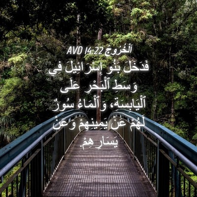 Picture 04 - اَلْخُرُوجُ 14:22 AVD - فَدَخَلَ بَنُو - Bible Verse Picture