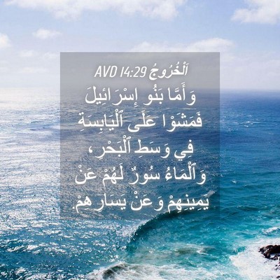 Picture 04 - اَلْخُرُوجُ 14:29 AVD - وَأَمَّا بَنُو - Bible Verse Picture