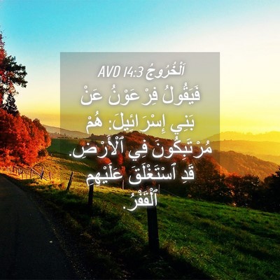 Picture 04 - اَلْخُرُوجُ 14:3 AVD - فَيَقُولُ فِرْعَوْنُ عَنْ - Bible Verse Picture