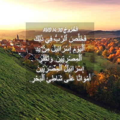 Picture 04 - اَلْخُرُوجُ 14:30 AVD - فَخَلَّصَ ٱلرَّبُّ فِي - Bible Verse Picture