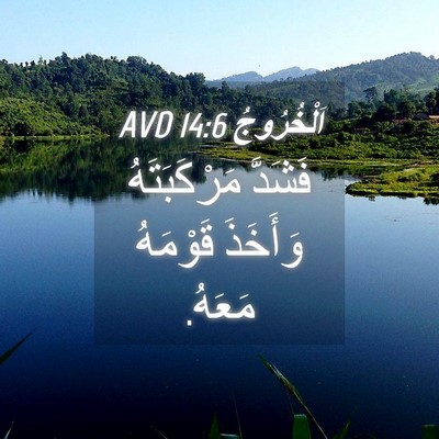 Picture 04 - اَلْخُرُوجُ 14:6 AVD - فَشَدَّ مَرْكَبَتَهُ - Bible Verse Picture