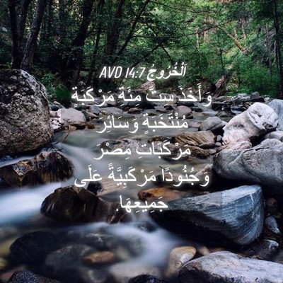 Picture 04 - اَلْخُرُوجُ 14:7 AVD - وَأَخَذَ سِتَّ مِئَةِ - Bible Verse Picture