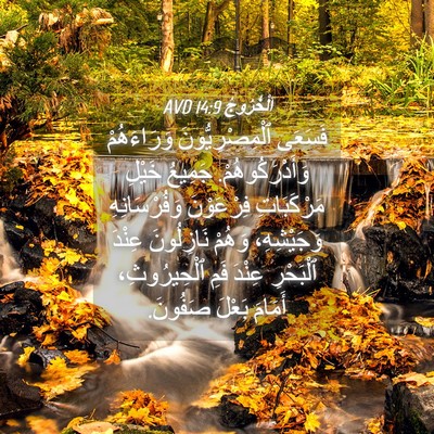 Picture 04 - اَلْخُرُوجُ 14:9 AVD - فَسَعَى ٱلْمِصْرِيُّونَ - Bible Verse Picture