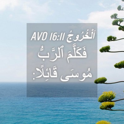 Picture 04 - اَلْخُرُوجُ 16:11 AVD - فَكَلَّمَ ٱلرَّبُّ مُوسَى - Bible Verse Picture