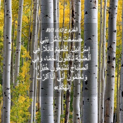 Picture 04 - اَلْخُرُوجُ 16:12 AVD - «سَمِعْتُ تَذَمُّرَ بَنِي - Bible Verse Picture