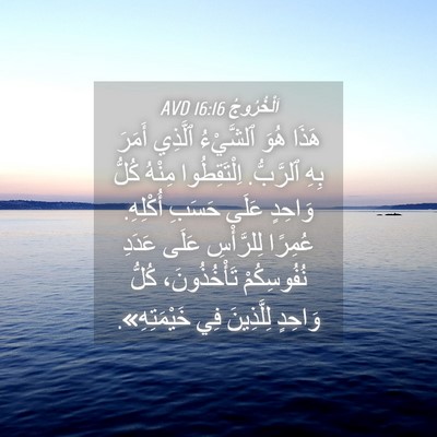 Picture 04 - اَلْخُرُوجُ 16:16 AVD - هَذَا هُوَ ٱلشَّيْءُ - Bible Verse Picture