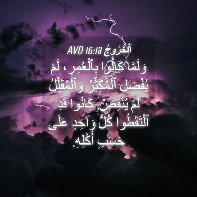 Picture 04 - اَلْخُرُوجُ 16:18 AVD - وَلَمَّا كَالُوا - Bible Verse Picture