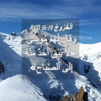 Picture 04 - اَلْخُرُوجُ 16:19 AVD - وَقَالَ لَهُمْ مُوسَى: - Bible Verse Picture
