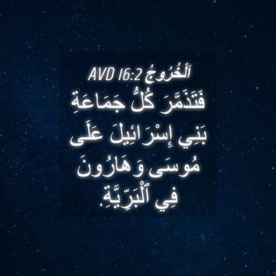 Picture 04 - اَلْخُرُوجُ 16:2 AVD - فَتَذَمَّرَ كُلُّ - Bible Verse Picture