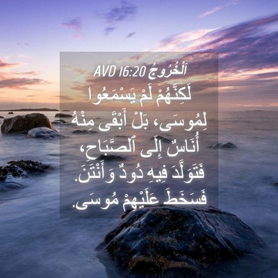 Picture 04 - اَلْخُرُوجُ 16:20 AVD - لَكِنَّهُمْ لَمْ - Bible Verse Picture