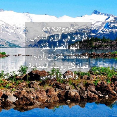 Picture 04 - اَلْخُرُوجُ 16:22 AVD - ثُمَّ كَانَ فِي ٱلْيَوْمِ - Bible Verse Picture