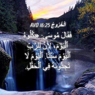Picture 04 - اَلْخُرُوجُ 16:25 AVD - فَقَالَ مُوسَى: «كُلُوهُ - Bible Verse Picture
