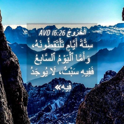 Picture 04 - اَلْخُرُوجُ 16:26 AVD - سِتَّةَ أَيَّامٍ - Bible Verse Picture