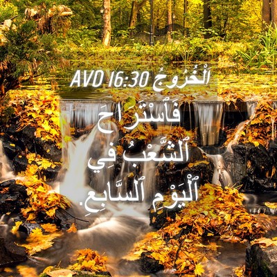 Picture 04 - اَلْخُرُوجُ 16:30 AVD - فَٱسْتَرَاحَ ٱلشَّعْبُ - Bible Verse Picture