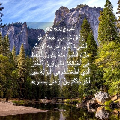 Picture 04 - اَلْخُرُوجُ 16:32 AVD - وَقَالَ مُوسَى: «هَذَا - Bible Verse Picture