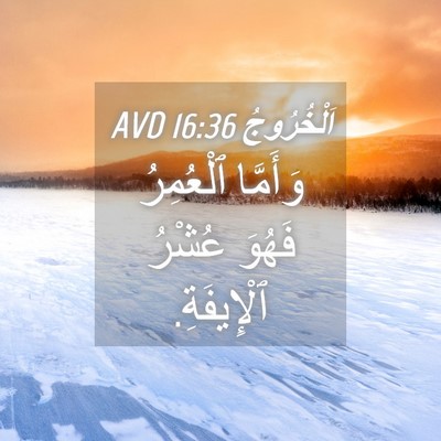 Picture 04 - اَلْخُرُوجُ 16:36 AVD - وَأَمَّا ٱلْعُمِرُ فَهُوَ - Bible Verse Picture