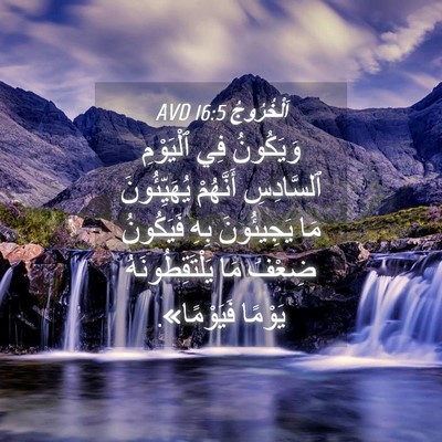 Picture 04 - اَلْخُرُوجُ 16:5 AVD - وَيَكُونُ فِي ٱلْيَوْمِ - Bible Verse Picture