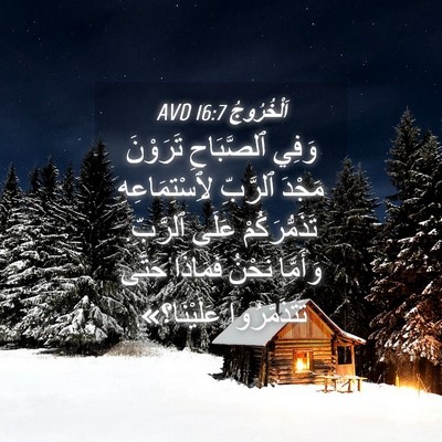 Picture 04 - اَلْخُرُوجُ 16:7 AVD - وَفِي ٱلصَّبَاحِ تَرَوْنَ - Bible Verse Picture