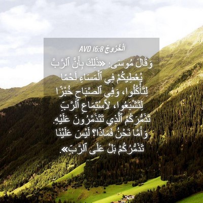 Picture 04 - اَلْخُرُوجُ 16:8 AVD - وَقَالَ مُوسَى: «ذَلِكَ - Bible Verse Picture