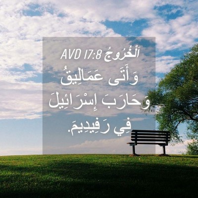 Picture 04 - اَلْخُرُوجُ 17:8 AVD - وَأَتَى عَمَالِيقُ - Bible Verse Picture