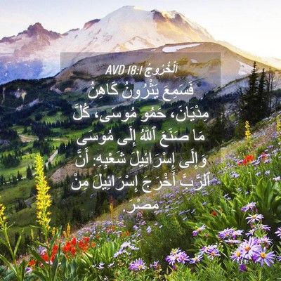 Picture 04 - اَلْخُرُوجُ 18:1 AVD - فَسَمِعَ يَثْرُونُ - Bible Verse Picture
