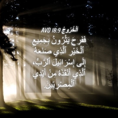 Picture 04 - اَلْخُرُوجُ 18:9 AVD - فَفَرِحَ يَثْرُونُ - Bible Verse Picture