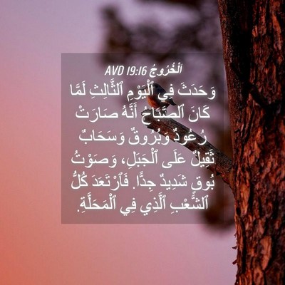 Picture 04 - اَلْخُرُوجُ 19:16 AVD - وَحَدَثَ فِي ٱلْيَوْمِ - Bible Verse Picture