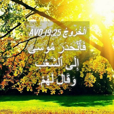 Picture 04 - اَلْخُرُوجُ 19:25 AVD - فَٱنْحَدَرَ مُوسَى إِلَى - Bible Verse Picture
