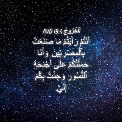 Picture 04 - اَلْخُرُوجُ 19:4 AVD - أَنْتُمْ رَأَيْتُمْ مَا - Bible Verse Picture