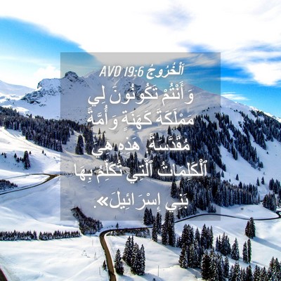 Picture 04 - اَلْخُرُوجُ 19:6 AVD - وَأَنْتُمْ تَكُونُونَ لِي - Bible Verse Picture