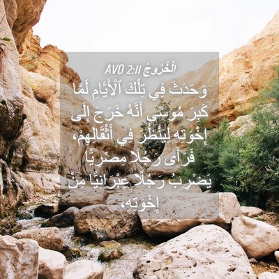 Picture 04 - اَلْخُرُوجُ 2:11 AVD - وَحَدَثَ فِي تِلْكَ - Bible Verse Picture