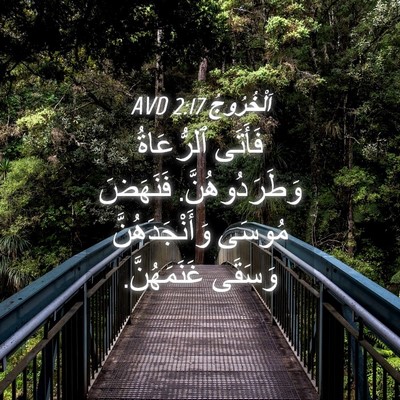 Picture 04 - اَلْخُرُوجُ 2:17 AVD - فَأَتَى ٱلرُّعَاةُ - Bible Verse Picture