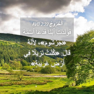 Picture 04 - اَلْخُرُوجُ 2:22 AVD - فَوَلَدَتِ ٱبْنًا فَدَعَا - Bible Verse Picture