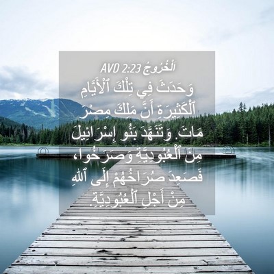 Picture 04 - اَلْخُرُوجُ 2:23 AVD - وَحَدَثَ فِي تِلْكَ - Bible Verse Picture