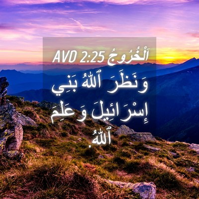 Picture 04 - اَلْخُرُوجُ 2:25 AVD - وَنَظَرَ ٱللهُ بَنِي - Bible Verse Picture