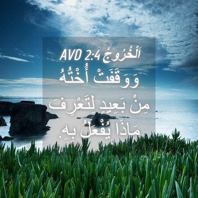 Picture 04 - اَلْخُرُوجُ 2:4 AVD - وَوَقَفَتْ أُخْتُهُ مِنْ - Bible Verse Picture