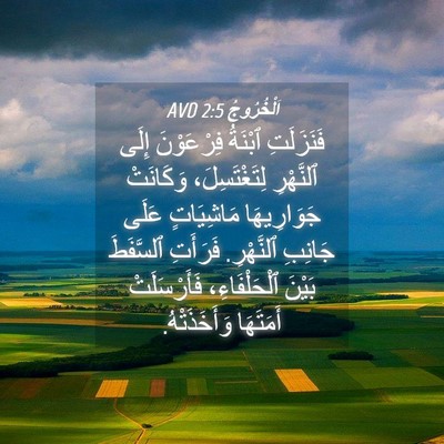 Picture 04 - اَلْخُرُوجُ 2:5 AVD - فَنَزَلَتِ ٱبْنَةُ - Bible Verse Picture