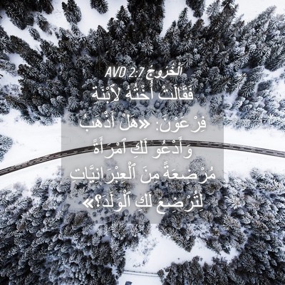 Picture 04 - اَلْخُرُوجُ 2:7 AVD - فَقَالَتْ أُخْتُهُ - Bible Verse Picture