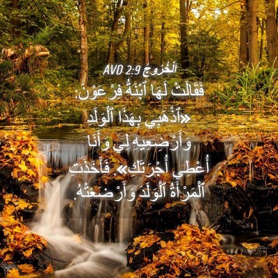 Picture 04 - اَلْخُرُوجُ 2:9 AVD - فَقَالَتْ لَهَا ٱبْنَةُ - Bible Verse Picture