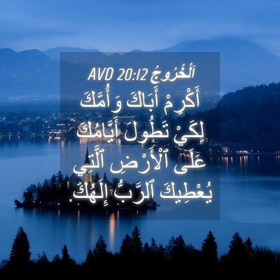 Picture 04 - اَلْخُرُوجُ 20:12 AVD - أَكْرِمْ أَبَاكَ - Bible Verse Picture