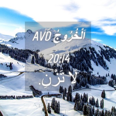 Picture 04 - اَلْخُرُوجُ 20:14 AVD - لَا - Bible Verse Picture
