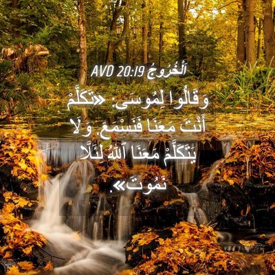 Picture 04 - اَلْخُرُوجُ 20:19 AVD - وَقَالُوا لِمُوسَى: - Bible Verse Picture