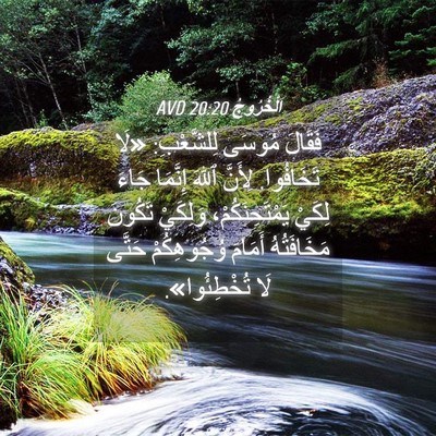 Picture 04 - اَلْخُرُوجُ 20:20 AVD - فَقَالَ مُوسَى لِلشَّعْبِ: - Bible Verse Picture