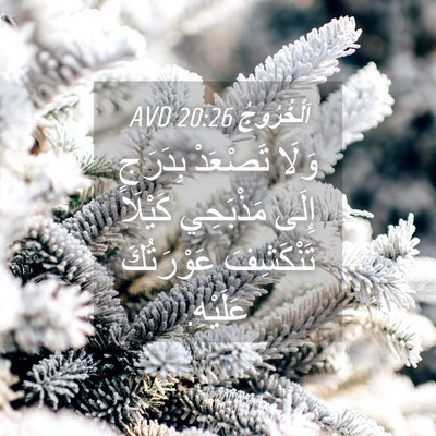 Picture 04 - اَلْخُرُوجُ 20:26 AVD - وَلَا تَصْعَدْ بِدَرَجٍ - Bible Verse Picture
