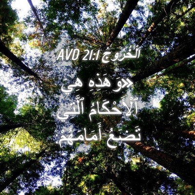 Picture 04 - اَلْخُرُوجُ 21:1 AVD - «وَهَذِهِ هِيَ - Bible Verse Picture