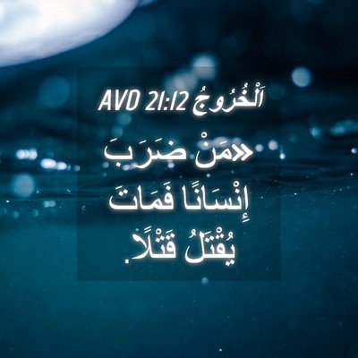 Picture 04 - اَلْخُرُوجُ 21:12 AVD - «مَنْ ضَرَبَ إِنْسَانًا - Bible Verse Picture