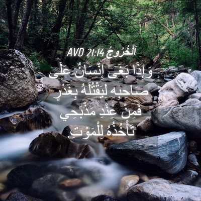Picture 04 - اَلْخُرُوجُ 21:14 AVD - وَإِذَا بَغَى إِنْسَانٌ - Bible Verse Picture