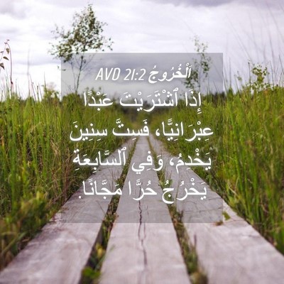 Picture 04 - اَلْخُرُوجُ 21:2 AVD - إِذَا ٱشْتَرَيْتَ عَبْدًا - Bible Verse Picture